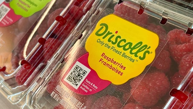 Whistleblower alleges millions of Driscoll’s <i>berries</i> sent to Canada with excess chemical levels |...