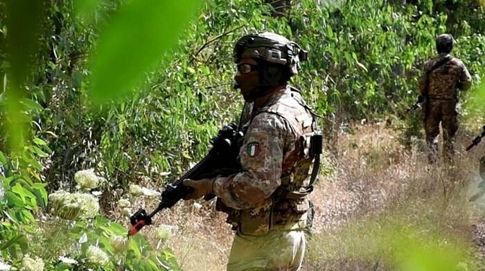 Lettonia, quattro militari <i>italiani</i> feriti durante un addestramento Nato - IlFaroOnline