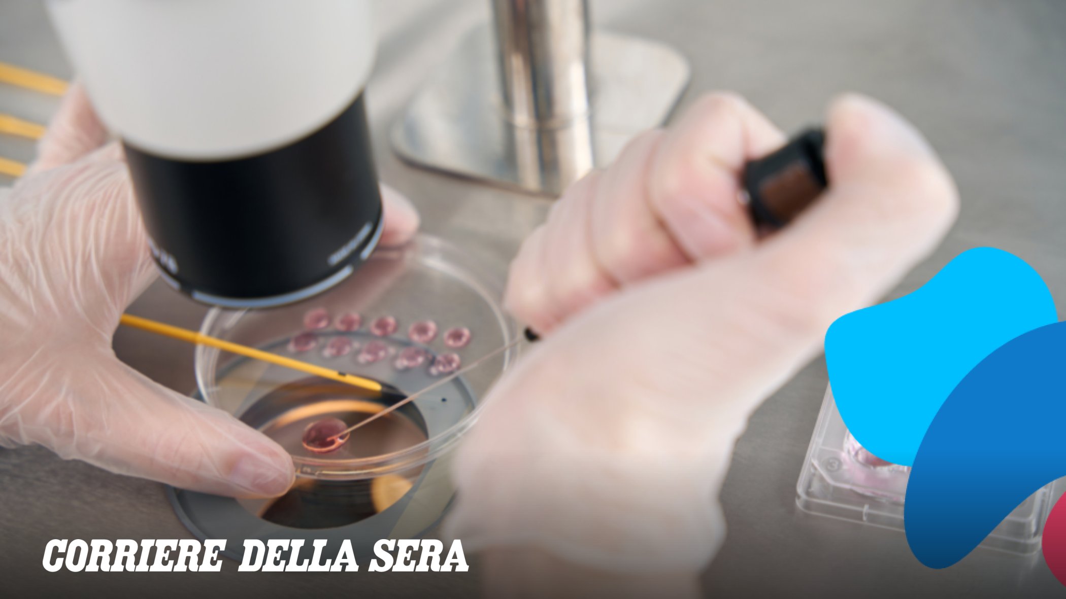 La Toscana approva la <i>legge</i> sul «social freezing»: le donne che vorranno congelare gli ovociti...