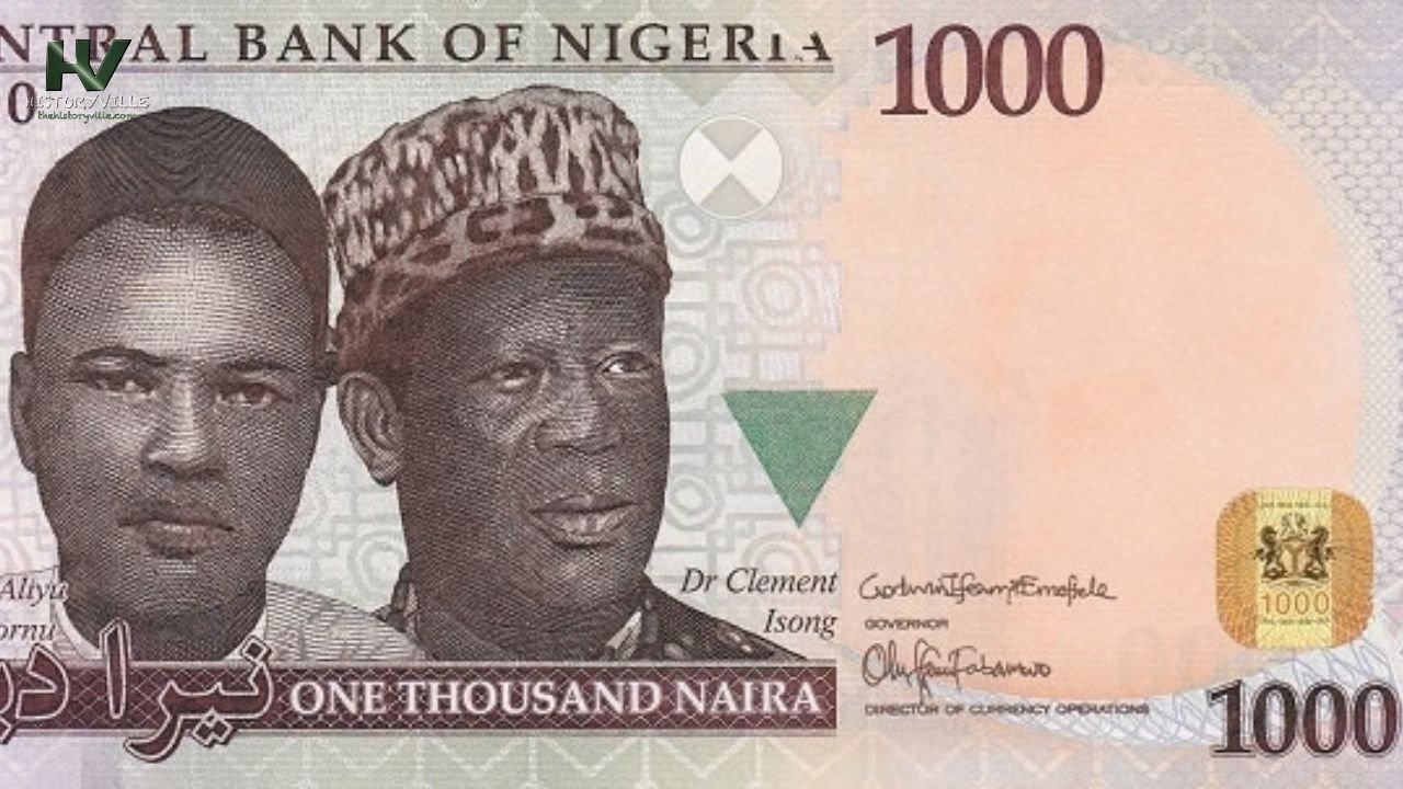 The <i>Nigerian</i> Naira (₦): A History of its Rise and Fall – HistoryVille
